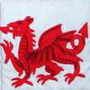 Welsh Banner Dragon